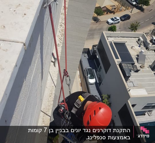 אדם עם קסדה אדומה מתקין דוקרנים על קיר בניין